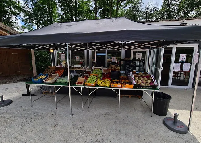 Mobil-home 6 personnes climatisé